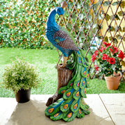 cortex-london-windsor-solar-peacock-eye-catching-day-night