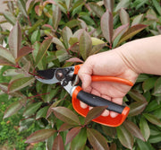 cortex-london-york-pruner-garden-tool