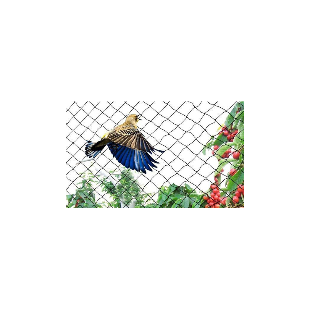 cortex-london-york-garden-bird-netting-2m-x-10m
