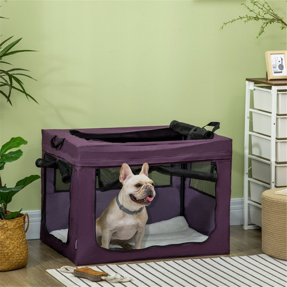 cortex-london-windsor-pet-carrier-purple-black