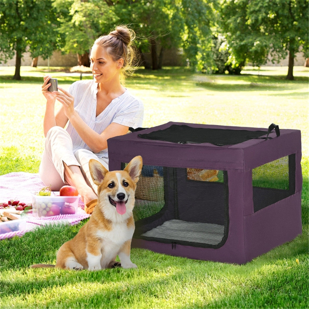 cortex-london-windsor-pet-carrier-purple-black