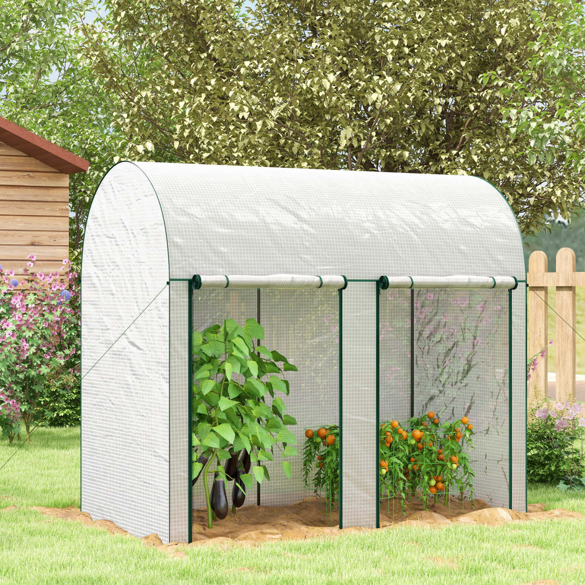cortex-london-windsor-tomato-greenhouse-200-x-100-x-178cm-white-roll-up-zipped-doors