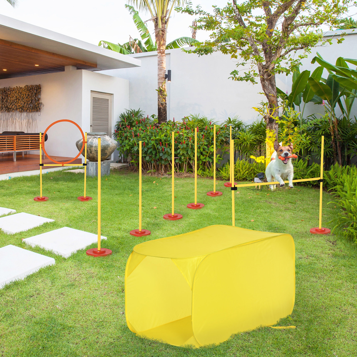 cortex-london-windsor-4-piece-outdoor-dog-agility-training-set-high-jump-tunnel-poles-jumping-ring