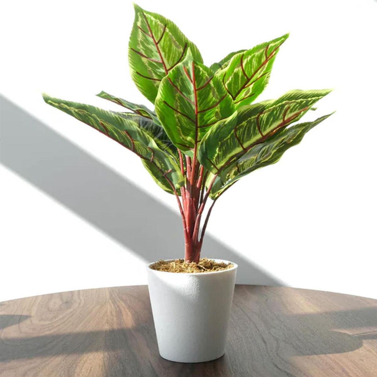 cortex-london-kensington-38cm-potted-artificial-calathea-veitchiane