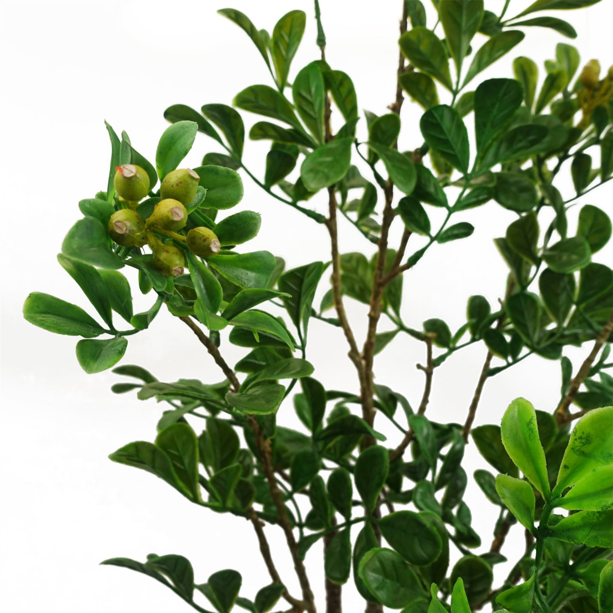 cortex-london-windsor-artificial-aglaia-odorata-bonsai-ficus-tree-60cm