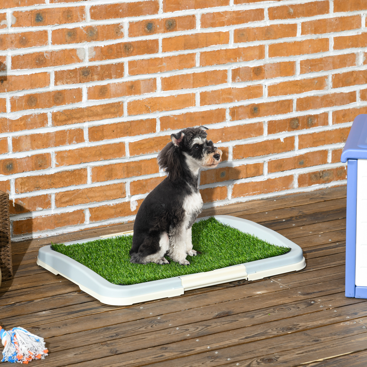 cortex-london-westminster-dog-toilet-indoor-artificial-grass-grid-panel-tray