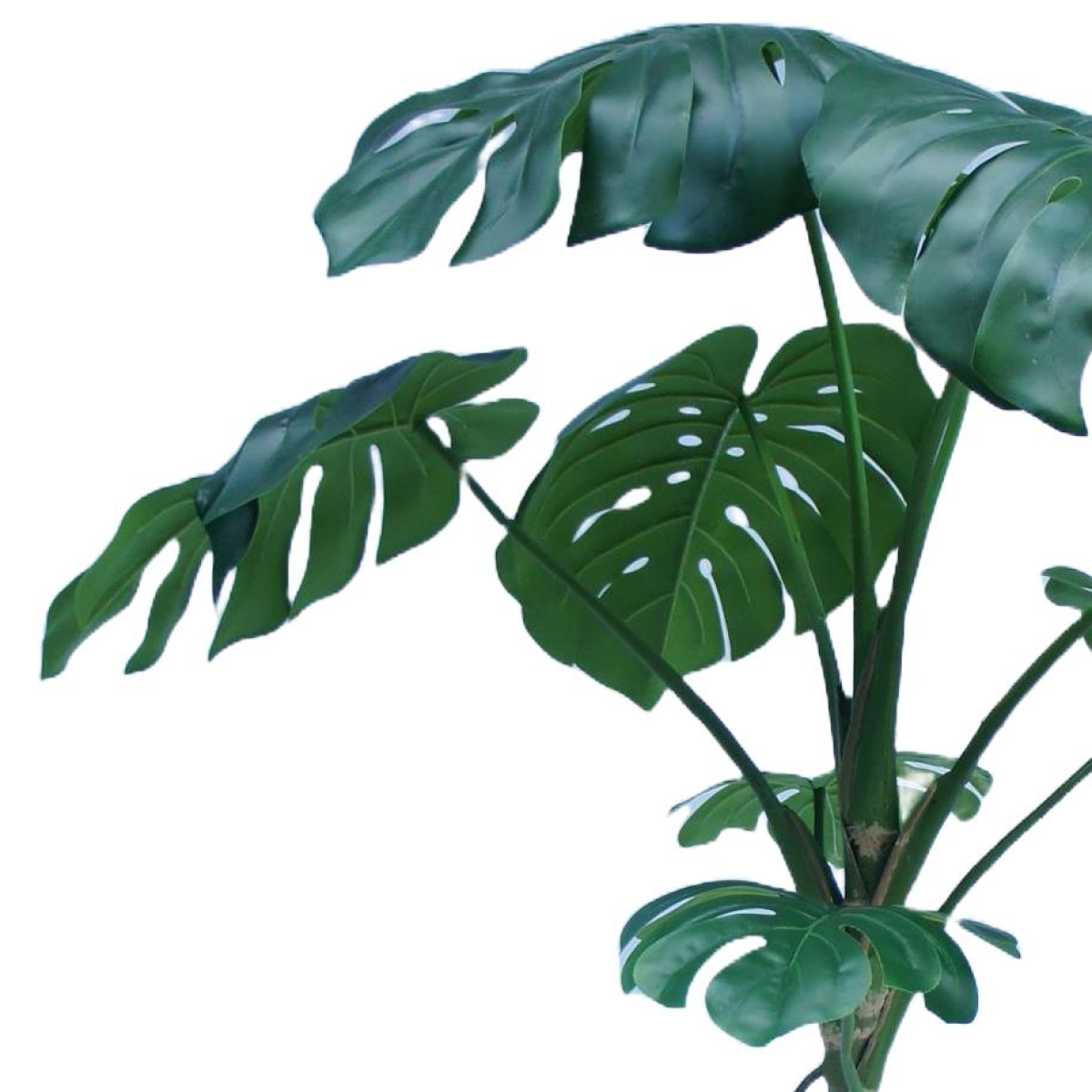 cortex-london-kensington-180cm-realistic-artificial-monstera-tree-green