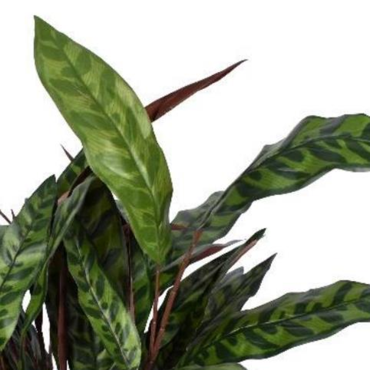 cortex-london-90cm-fire-retardant-artificial-peacock-foliage-bush