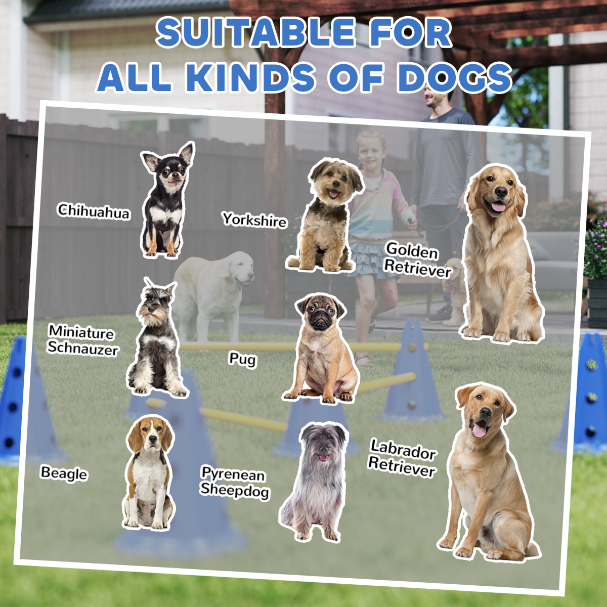 cortex-london-windsor-dog-agility-training-set-six-cones-blue-yellow