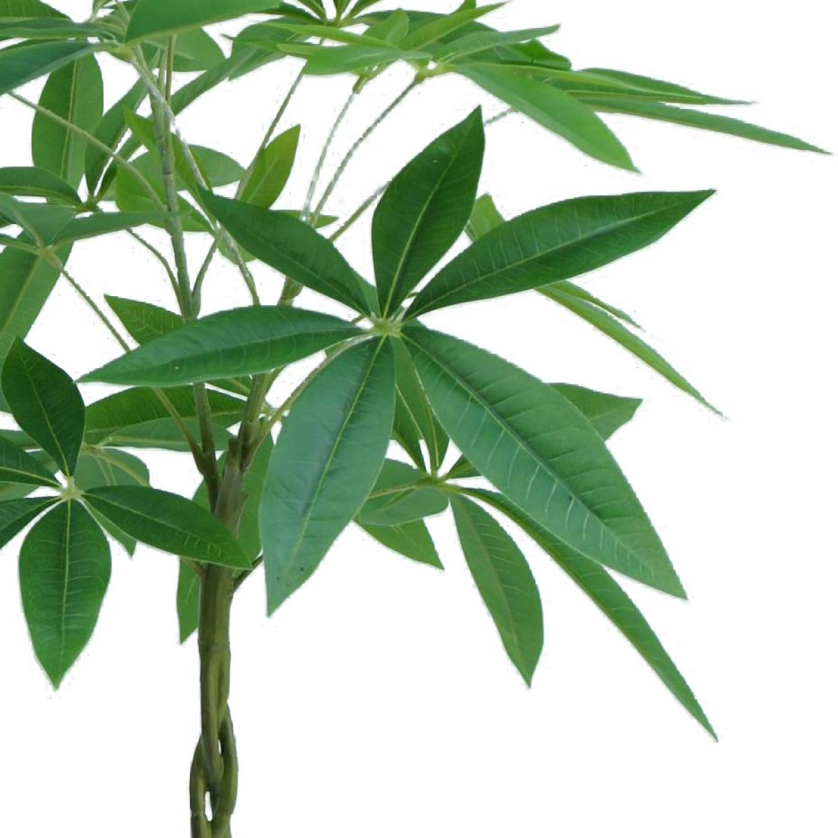 cortex-london-kew-70cm-artificial-money-tree-pachira-realistic-faux-plant