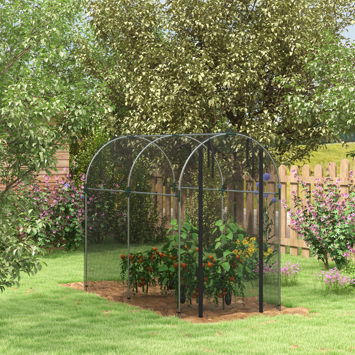 cortex-london-windsor-black-fruit-cage-plant-protection-tent