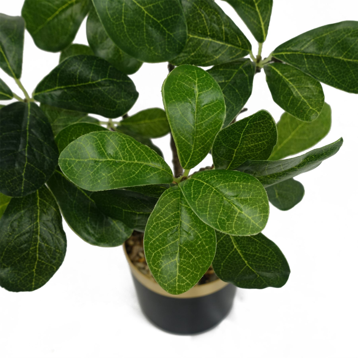cortex-london-kew-artificial-tropical-bonsai-ficus-tree-60cm-plastic-leaves