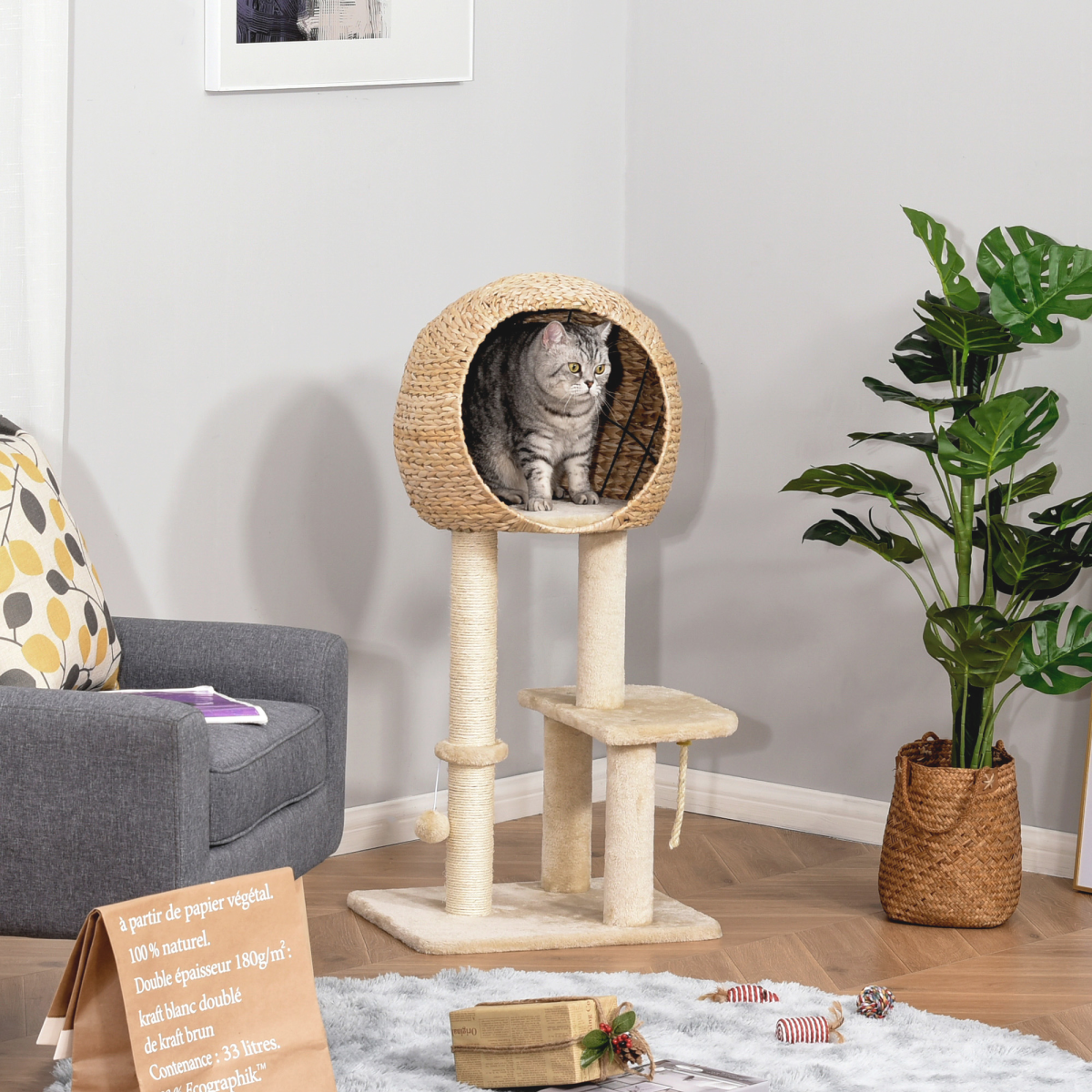 cortex-london-windsor-pawhut-cat-tree-tower-scratching-posts-plush-condo