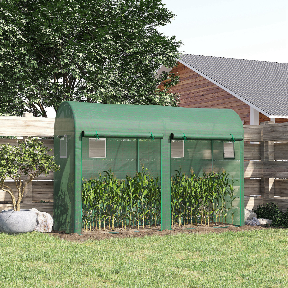 cortex-london-windsor-tomato-greenhouse-double-doors-four-windows