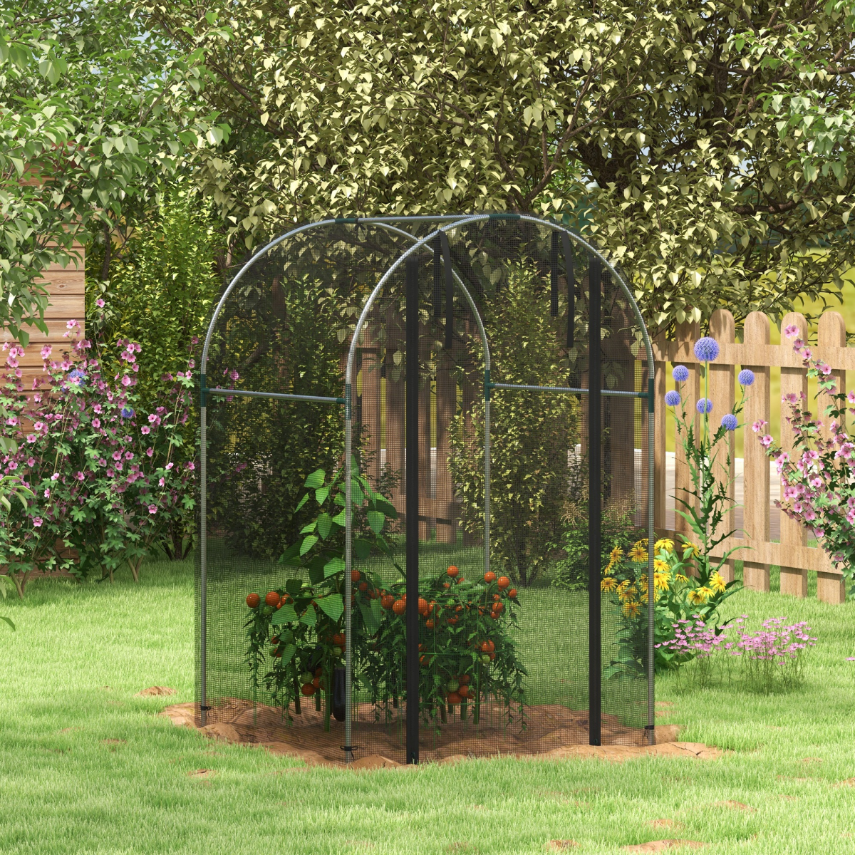 cortex-london-windsor-fruit-cage-plant-protection-tent-black
