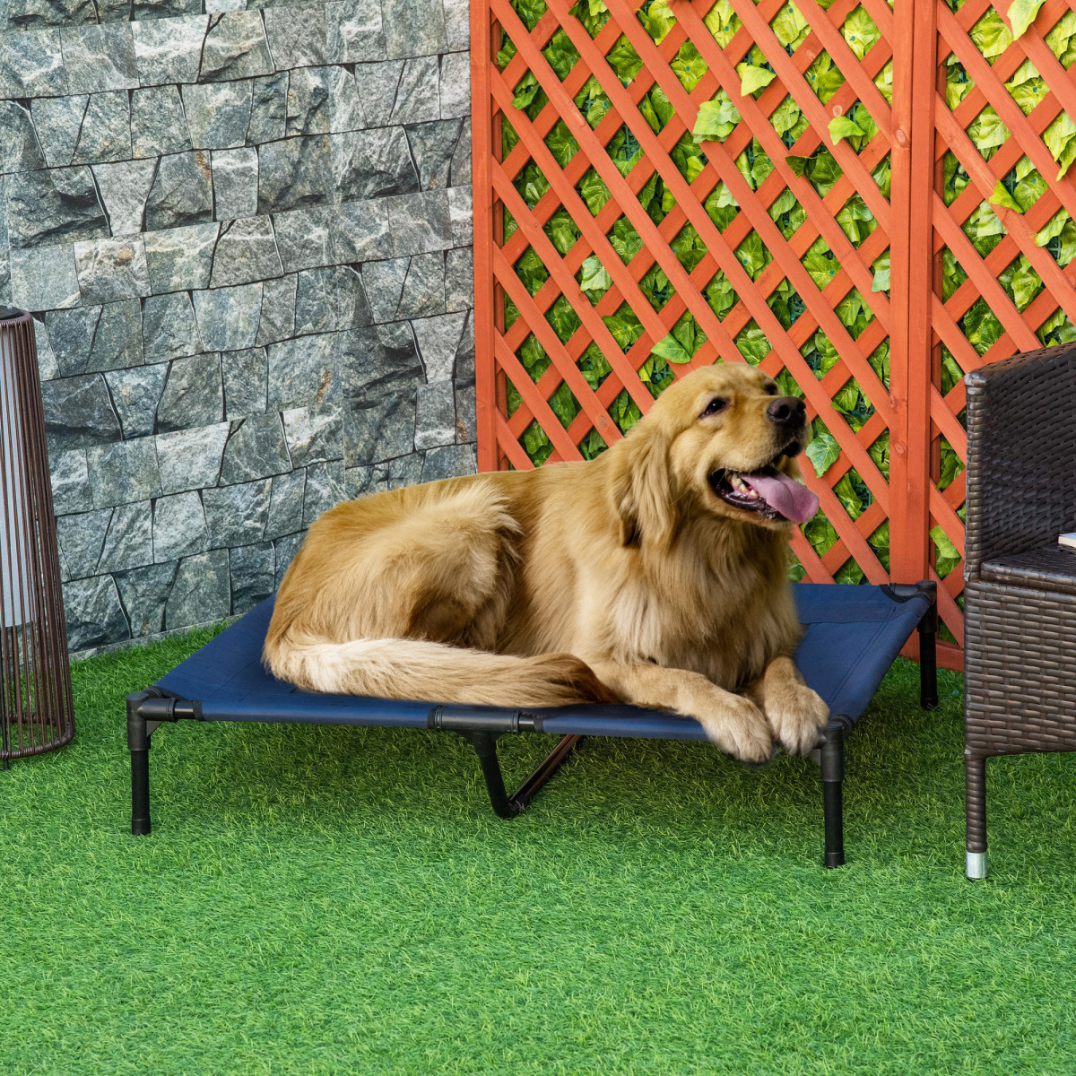 cortex-london-windsor-elevated-pet-cot-bed-metal-frame-600d-oxford-fabric