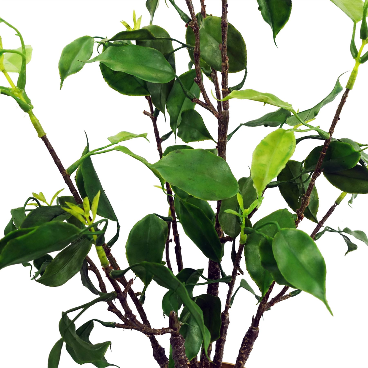 cortex-london-windsor-artificial-banyan-bonsai-ficus-tree-60cm
