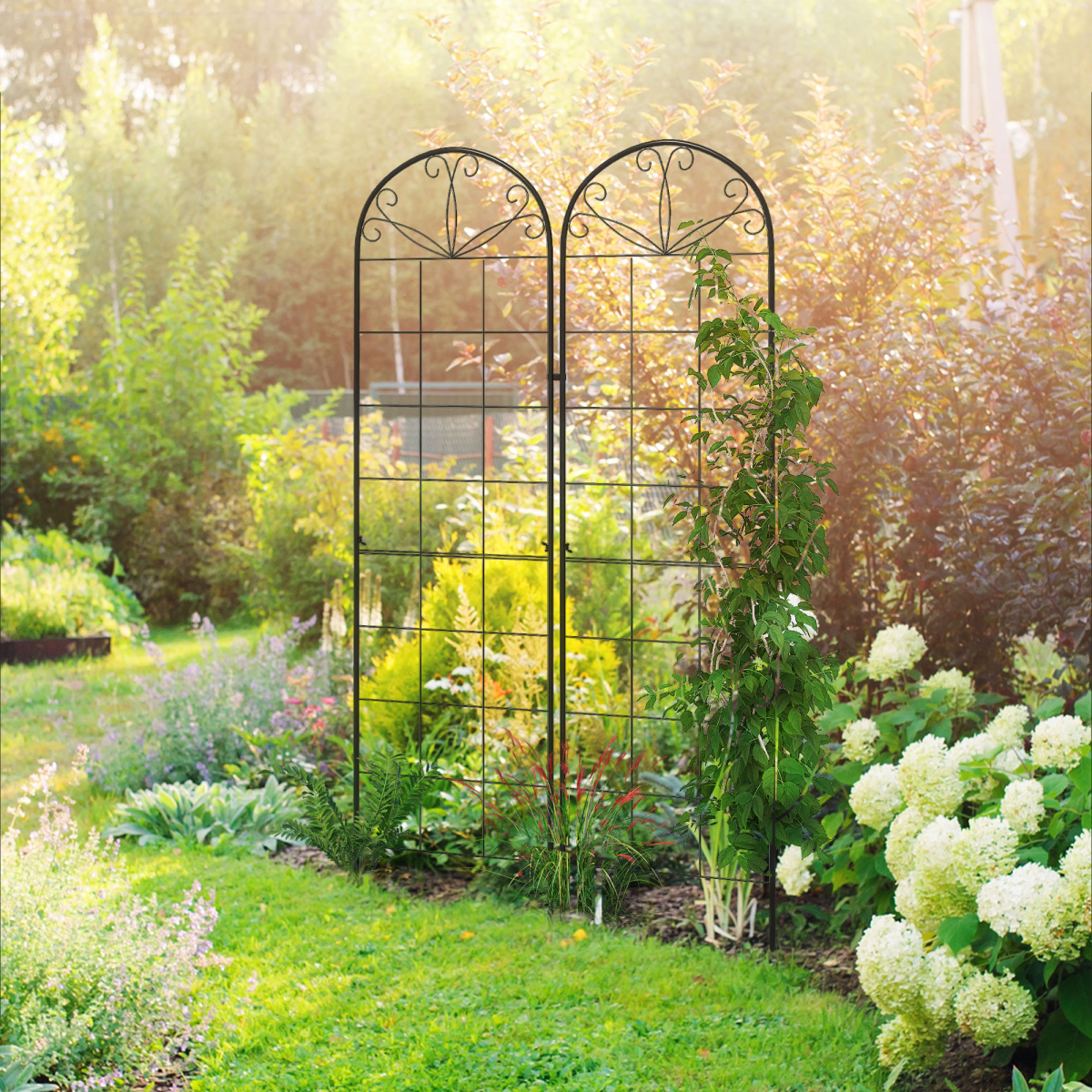cortex-london-windsor-garden-metal-trellis-set-of-2-black-climbing-plants