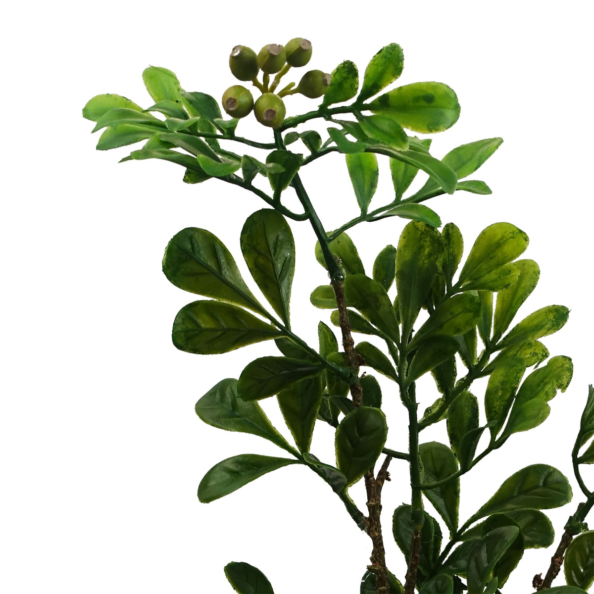 cortex-london-windsor-artificial-aglaia-odorata-bonsai-tree-45cm