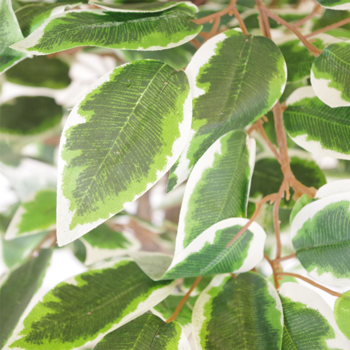 cortex-london-windsor-130cm-white-edge-ficus-artificial-tree-copper-metal-planter