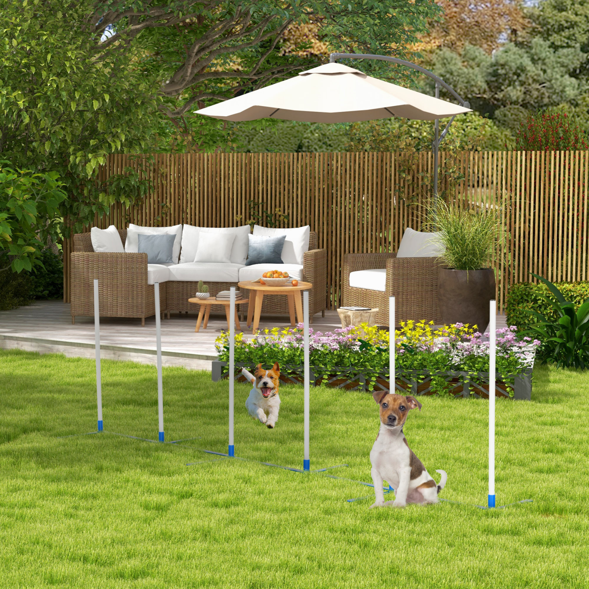 cortex-london-windsor-dog-weave-pole-agility-training-set-six-poles-storage-bag