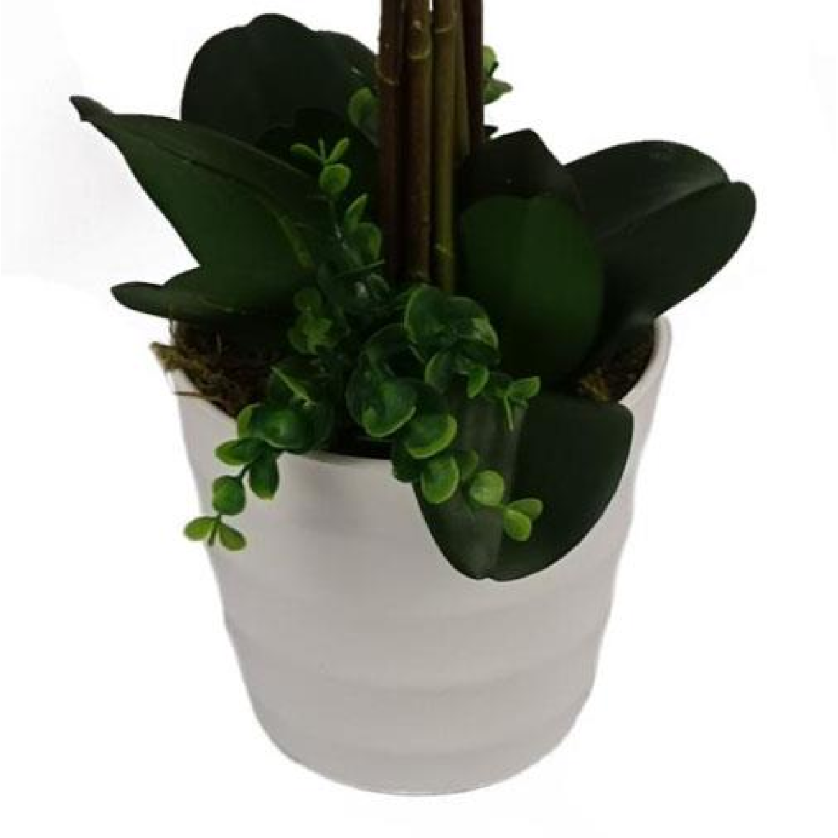 cortex-london-windsor-deluxe-artificial-bush-orchid-85cm-white-flowers-white-pot