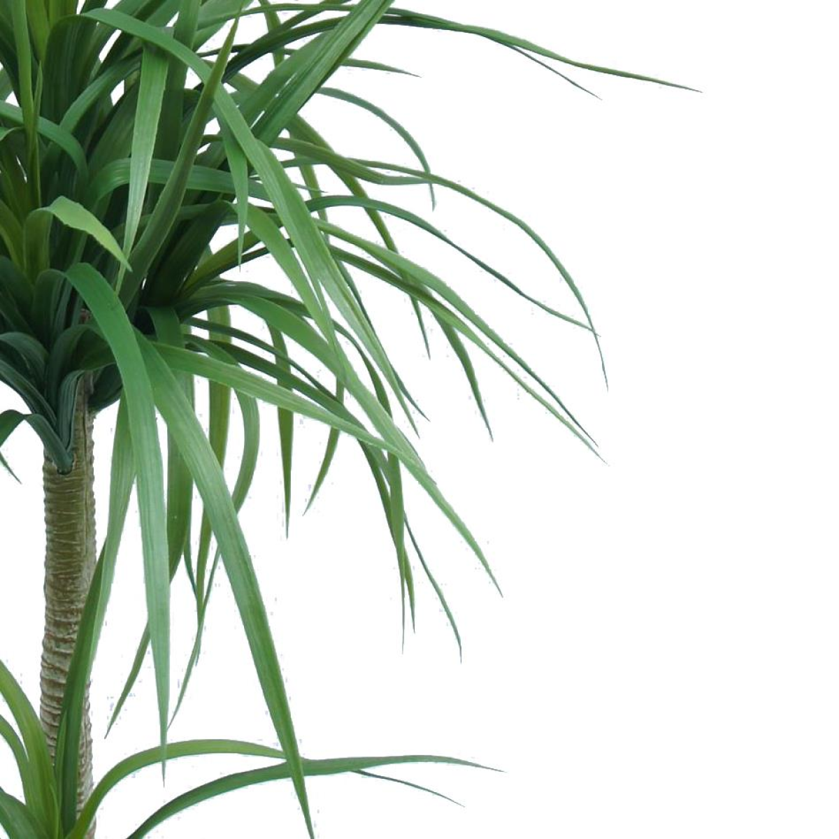 cortex-london-kew-double-artificial-dracaena-plant-90cm-black-plastic-pot