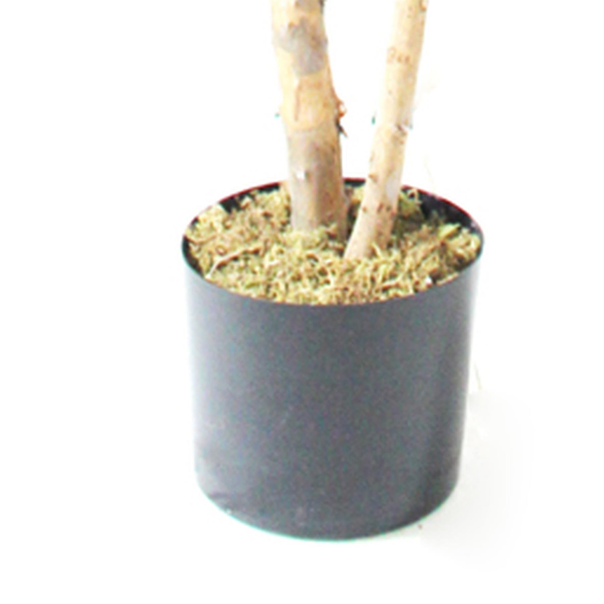 cortex-london-kensington-180cm-artificial-fiddle-fig-tree-black-plastic-pot
