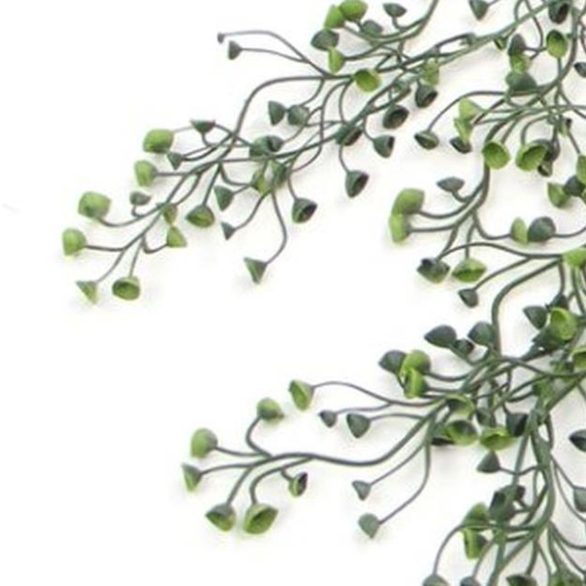 cortex-london-bath-artificial-string-pearl-plant-75cm-uv-fire-resistant-hanging-trailing