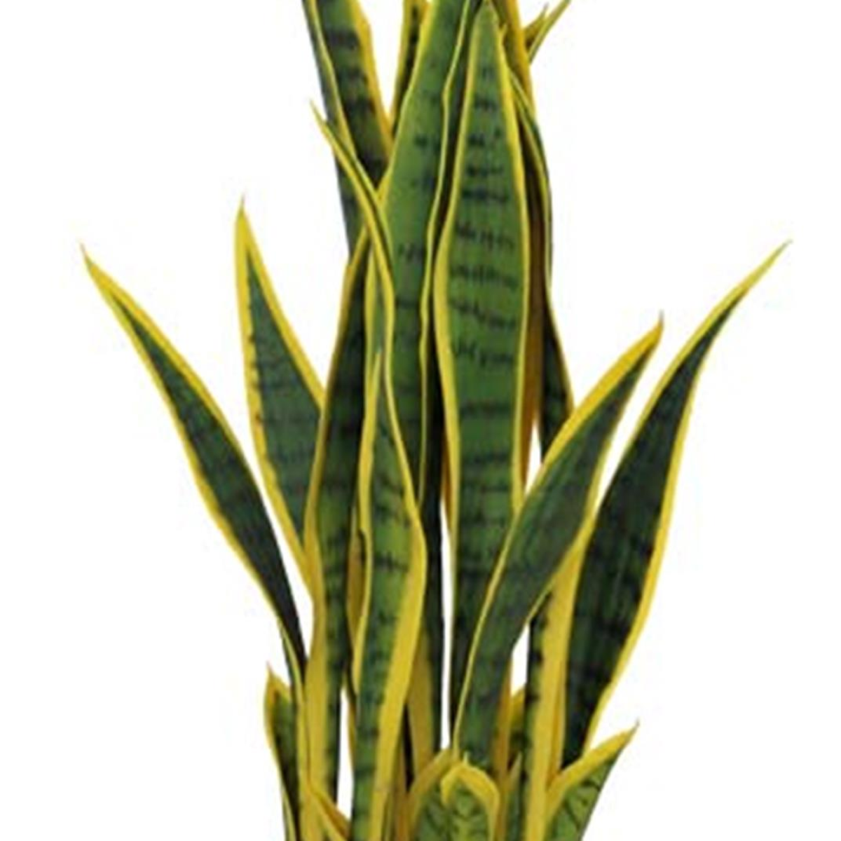 cortex-london-york-70cm-artificial-sansevieria-with-pot