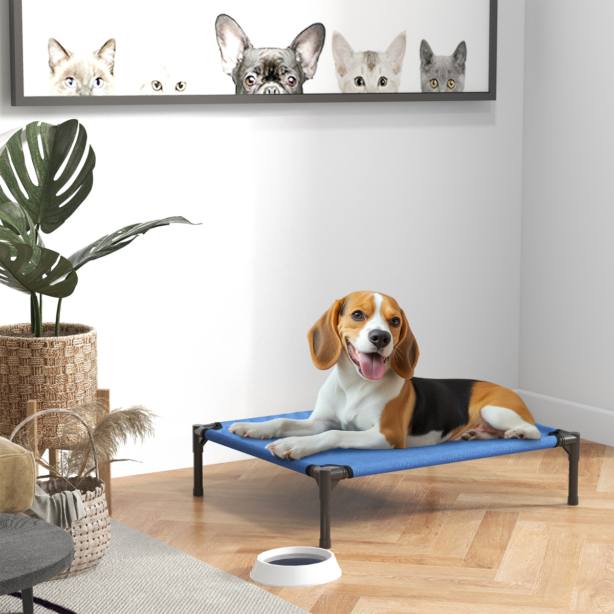 cortex-london-windsor-elevated-pet-bed-portable-folding-cool-cot-for-dogs-and-cats