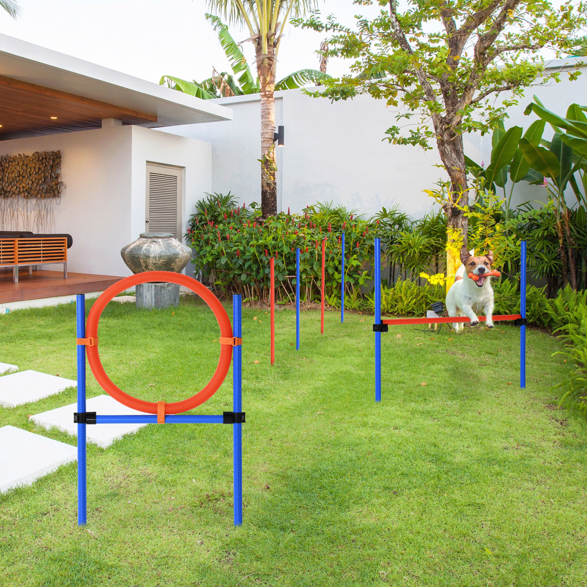 cortex-london-windsor-dog-agility-training-set-adjustable-high-jump-tunnel-hoop-poles