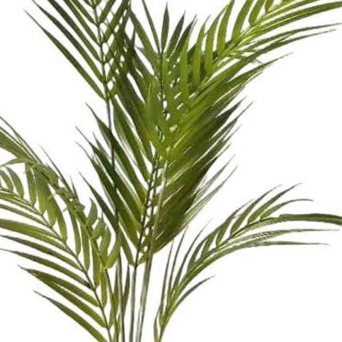 cortex-london-kensington-70cm-artificial-areca-palm-tree-black-plastic-pot