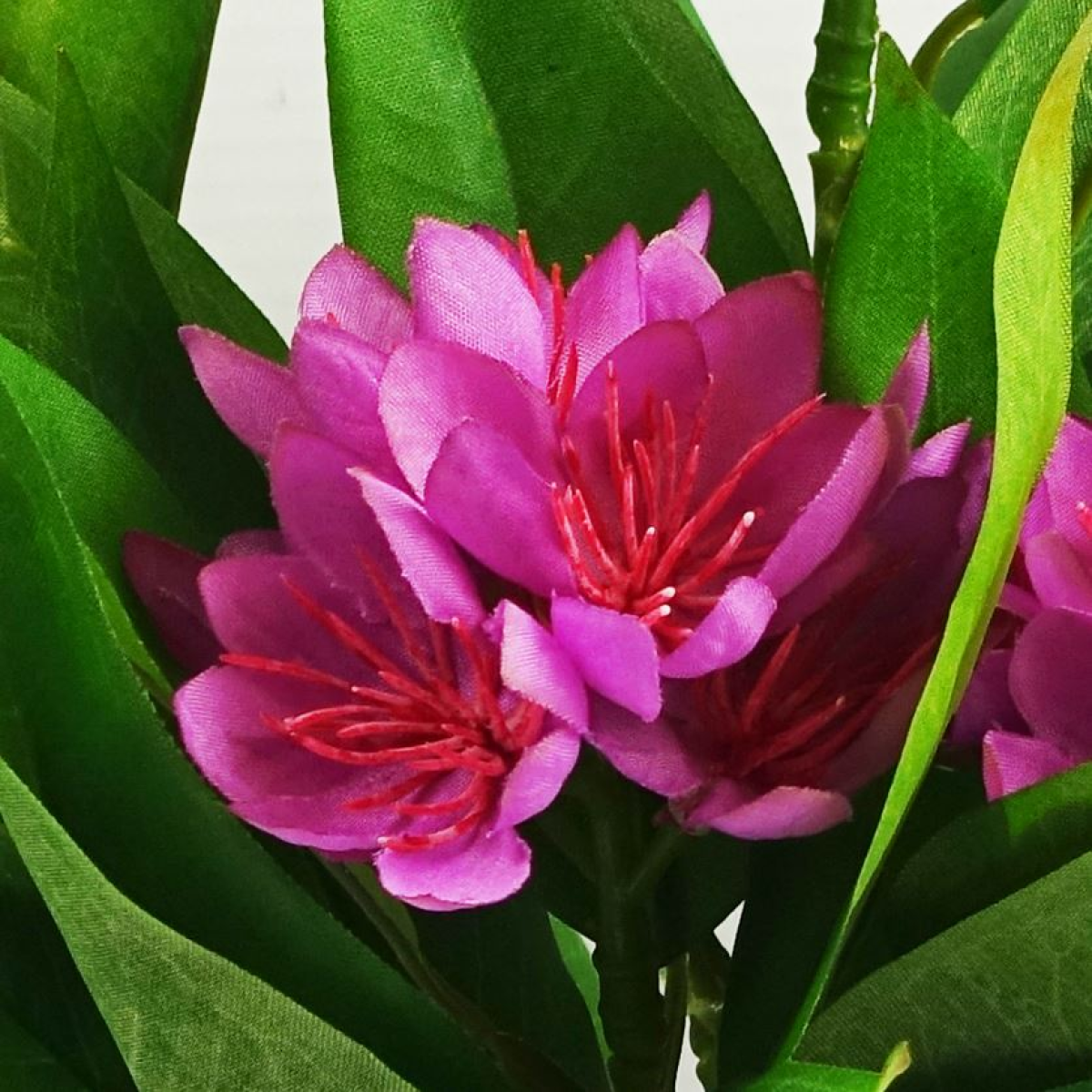 cortex-london-kew-three-artificial-freesia-plants-pink-orange-yellow