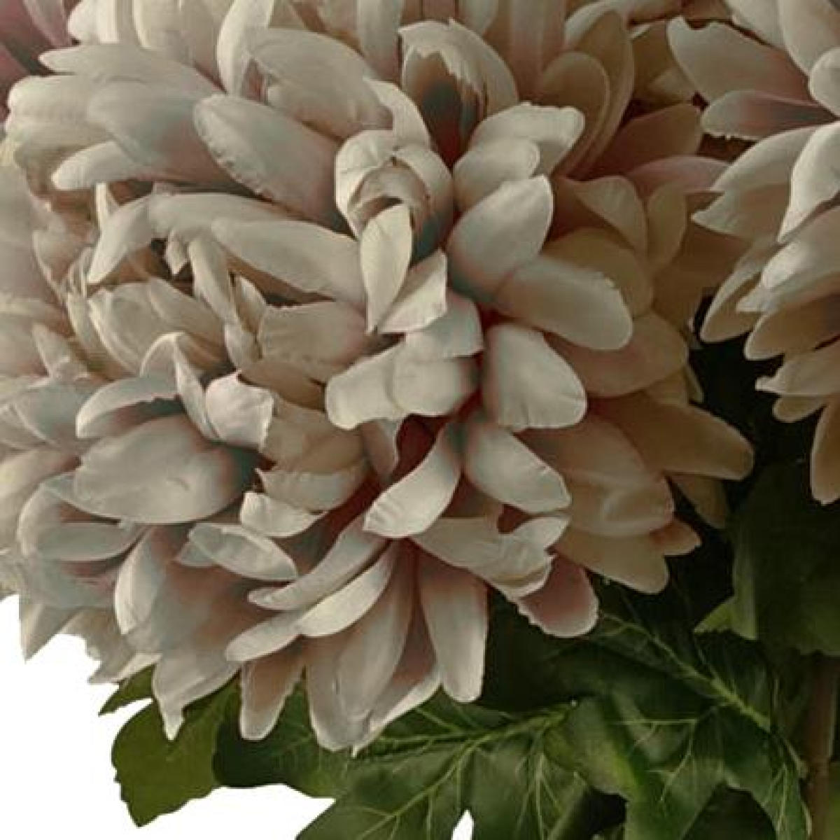 cortex-london-windsor-mushroom-silk-reflex-chrysanthemum-75cm