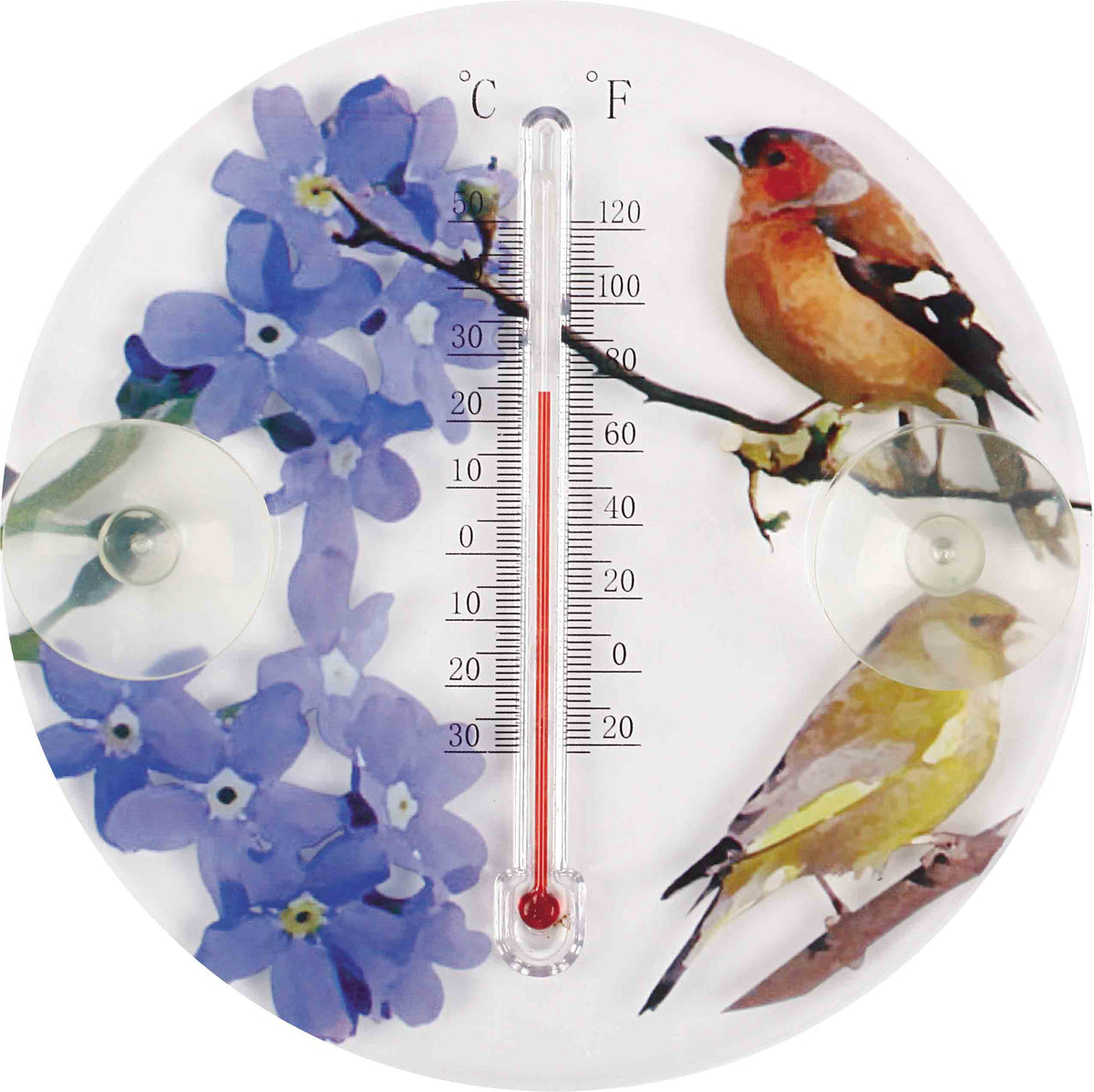 cortex-london-outdoor-window-thermometer-edwardian-bird-illustrations