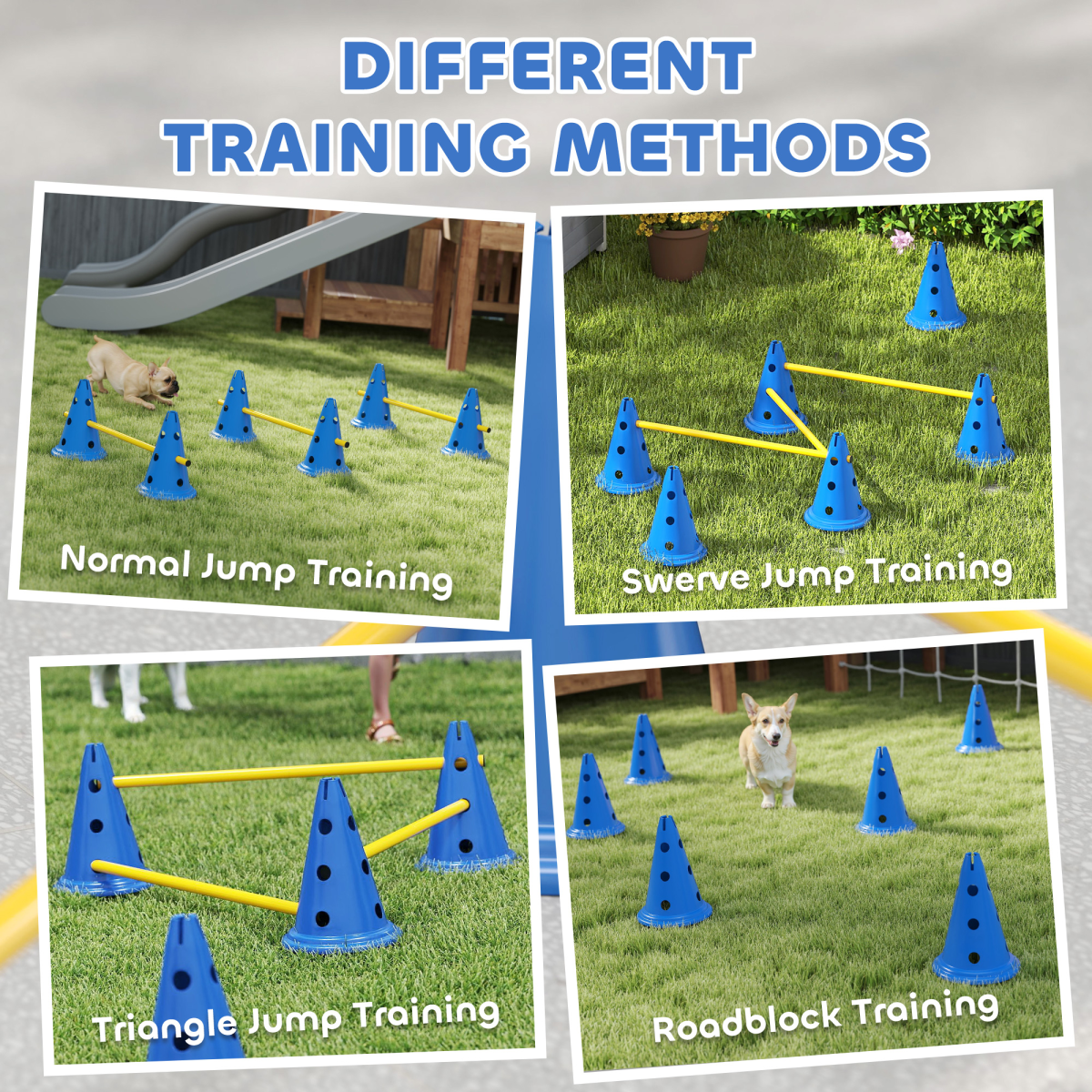 cortex-london-windsor-dog-agility-training-set-six-cones-blue-yellow