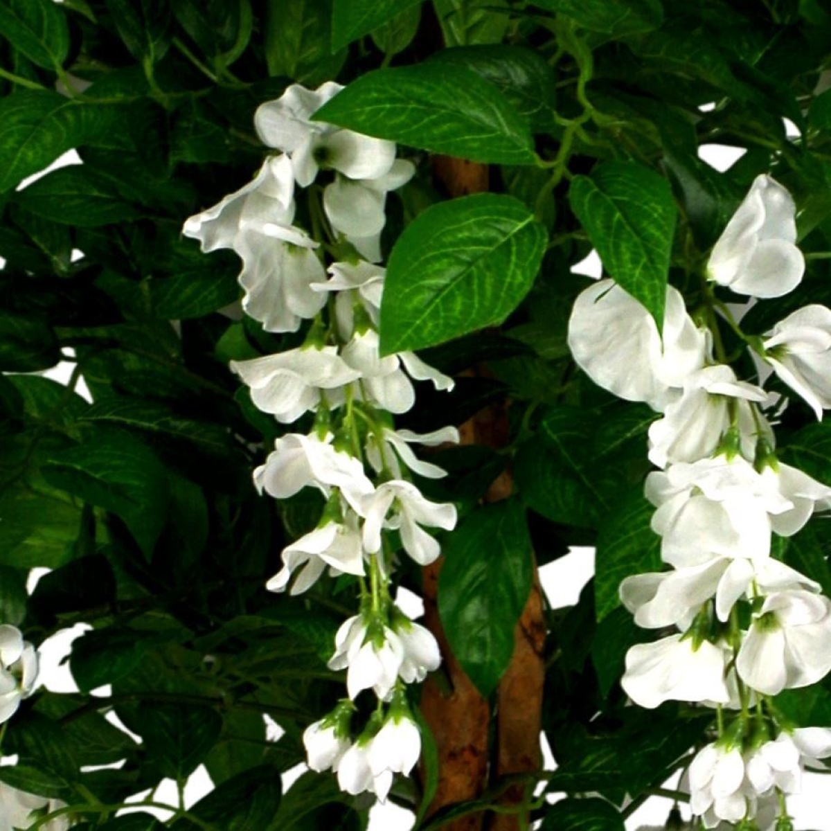 cortex-london-windsor-130cm-artificial-white-wisteria-tree-silver-metal-planter