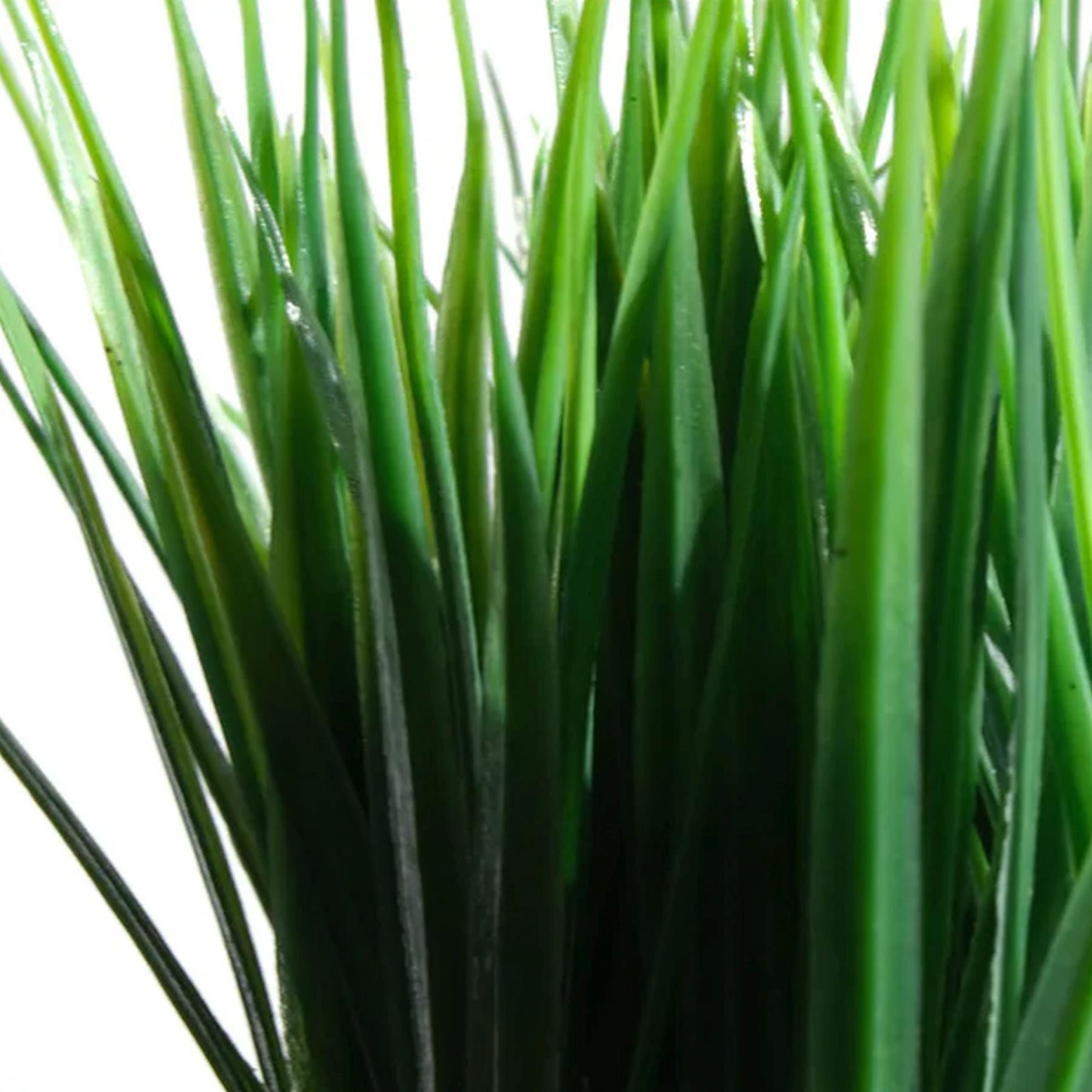 cortex-london-windsor-pack-of-6-22cm-artificial-grass-plants