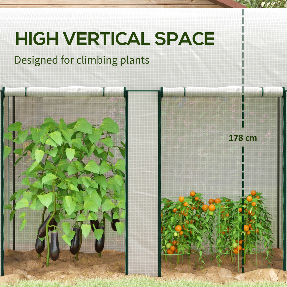 cortex-london-windsor-tomato-greenhouse-200-x-100-x-178cm-white-roll-up-zipped-doors