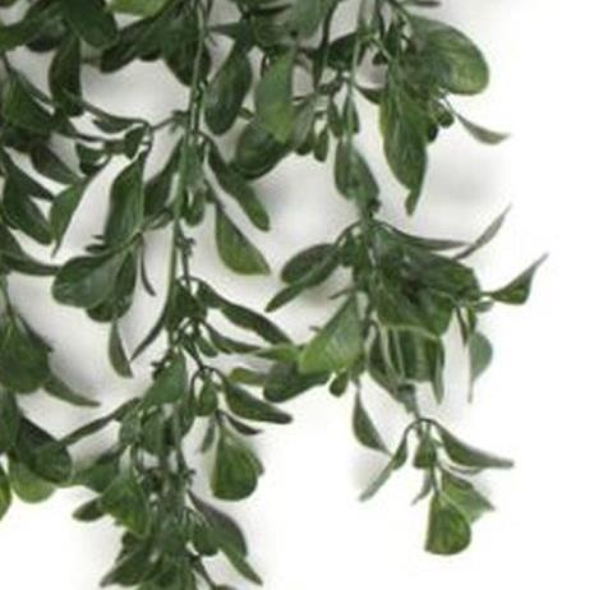cortex-london-kensington-artificial-peperomia-hanging-plant-68cm-uv-fire-resistant