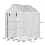 Greenhouse for Outdoor, Gardening 2 Tier Shelf, PE Cover, 143x143x195cm, Green