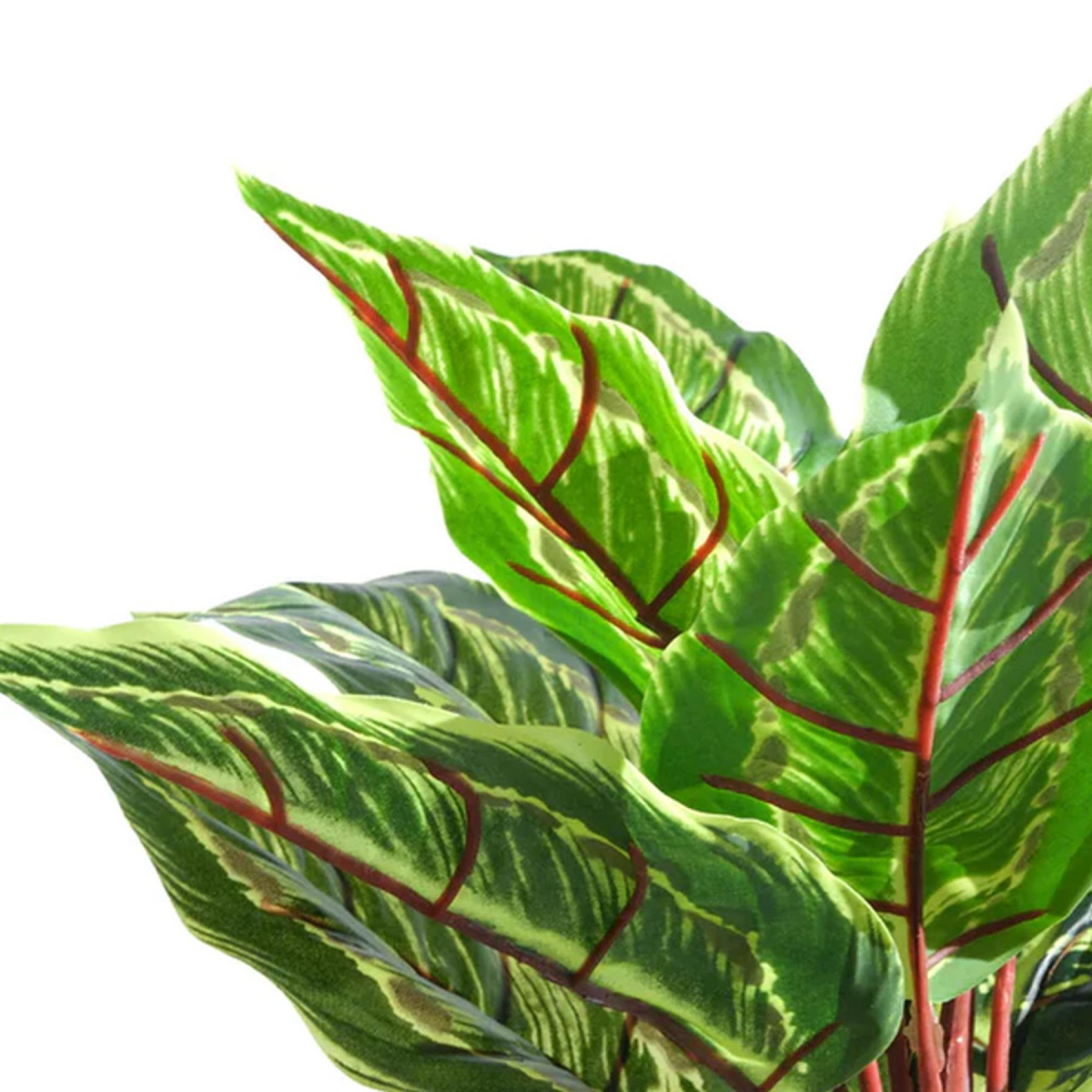 cortex-london-kensington-38cm-potted-artificial-calathea-veitchiane