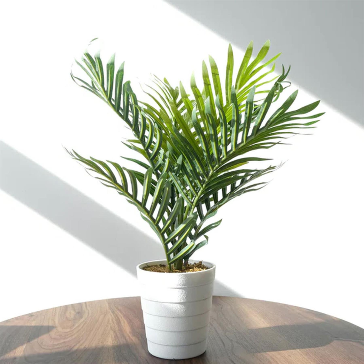 cortex-london-bath-artificial-mini-palm-tree-50cm