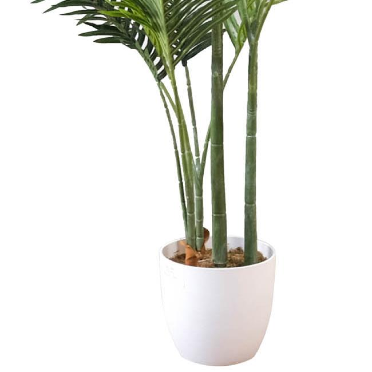 cortex-london-kensington-artificial-palm-tree-160cm-15-leaves-white-pot