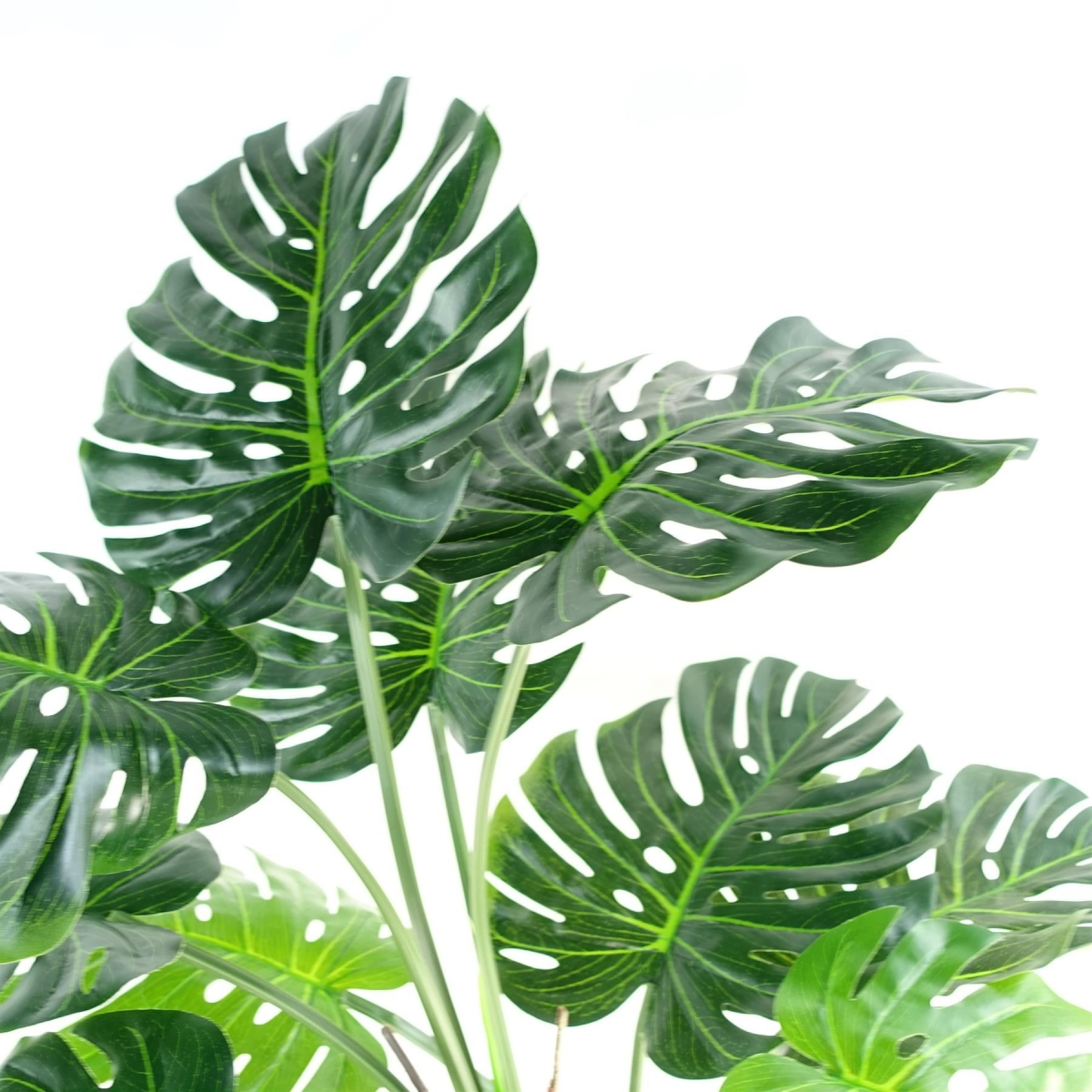 cortex-london-windsor-luxury-monstera-plant-black-pot-gold-metal-planter
