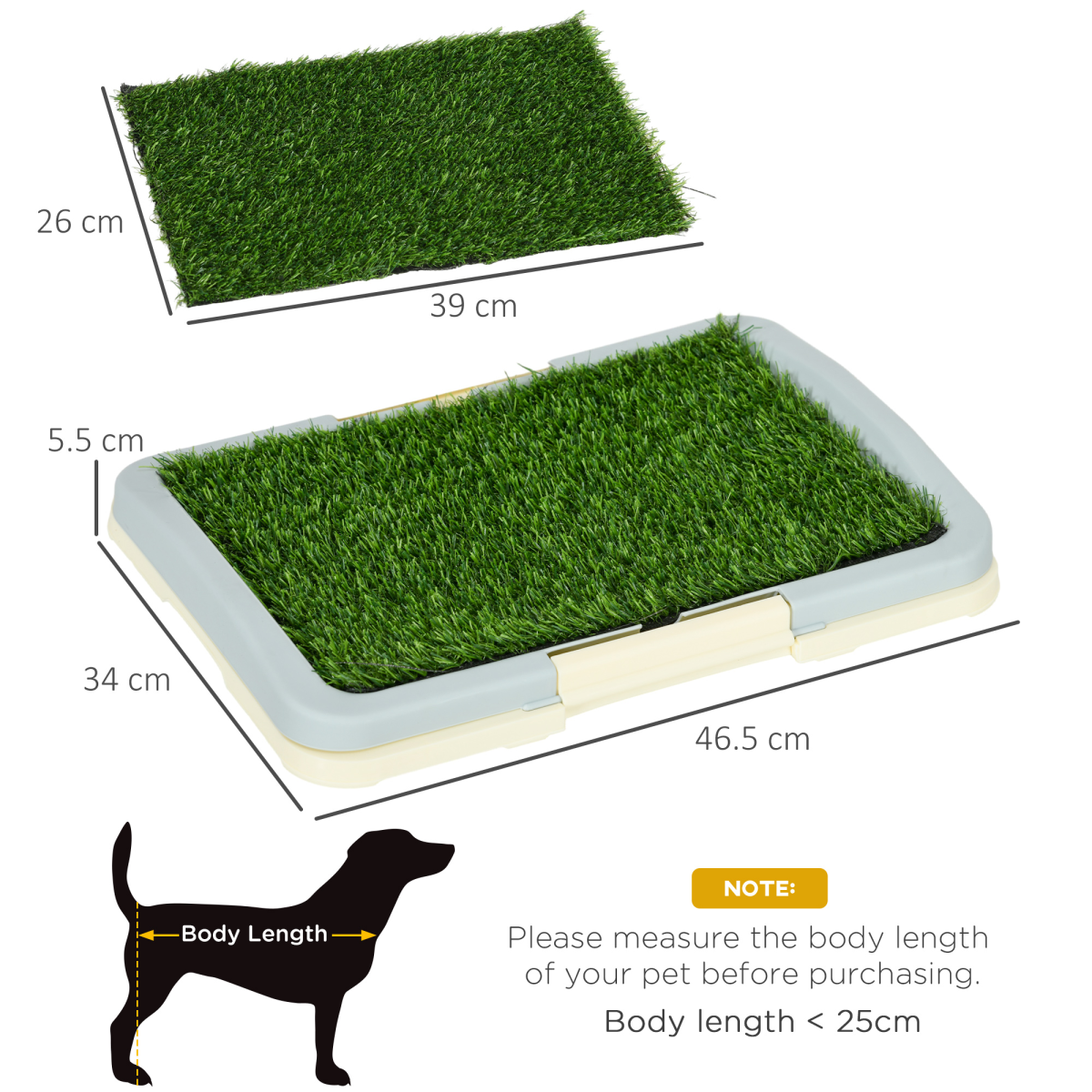 cortex-london-windsor-pawhut-indoor-dog-toilet-artificial-grass-tray