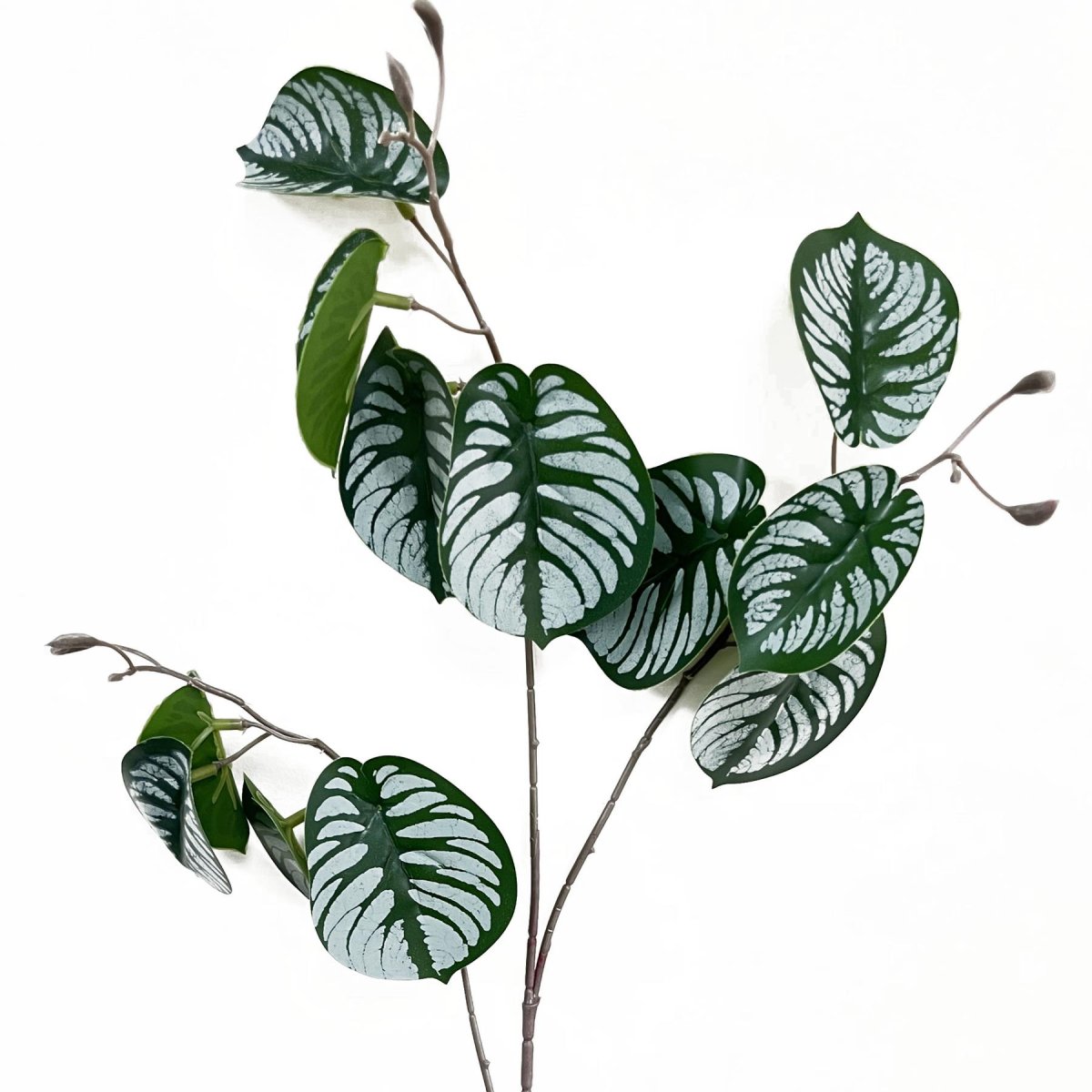 cortex-london-kew-zebra-foliage-70cm-artificial