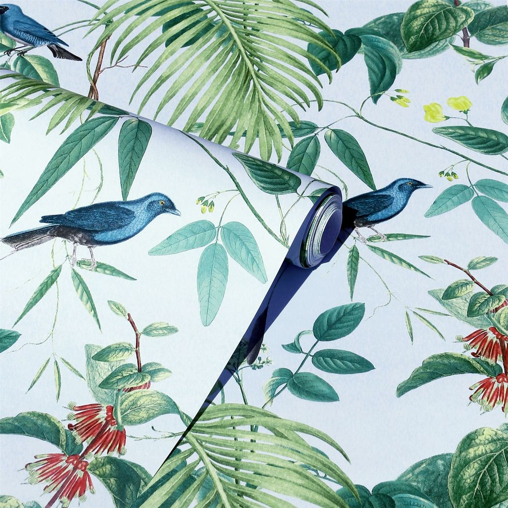 cortex-london-kew-exotic-garden-blue-botanical-design-colourful-birds-flowers