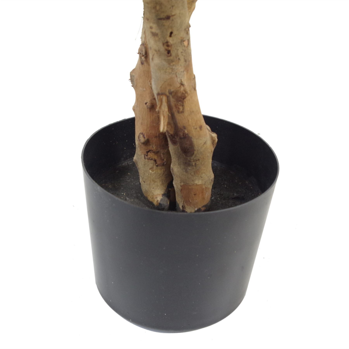 cortex-london-windsor-variegated-ficus-tree-gold-metal-planter-130cm